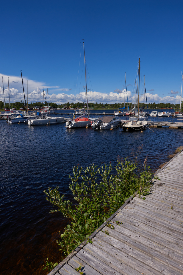 Sony E 10-20mm f4_5w.jpg