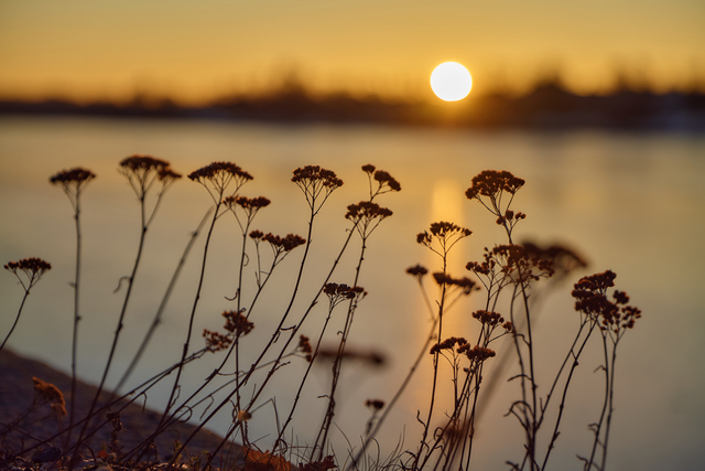 panasonic s pro 24_70 28_10w.jpg