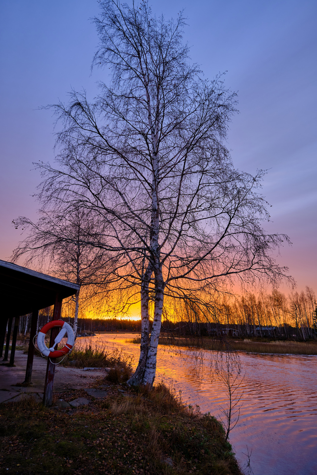 Fujifilm_XF 16-80_4w.jpg