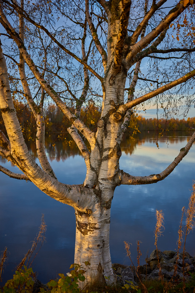 Ricoh GR IIIx_9w.jpg