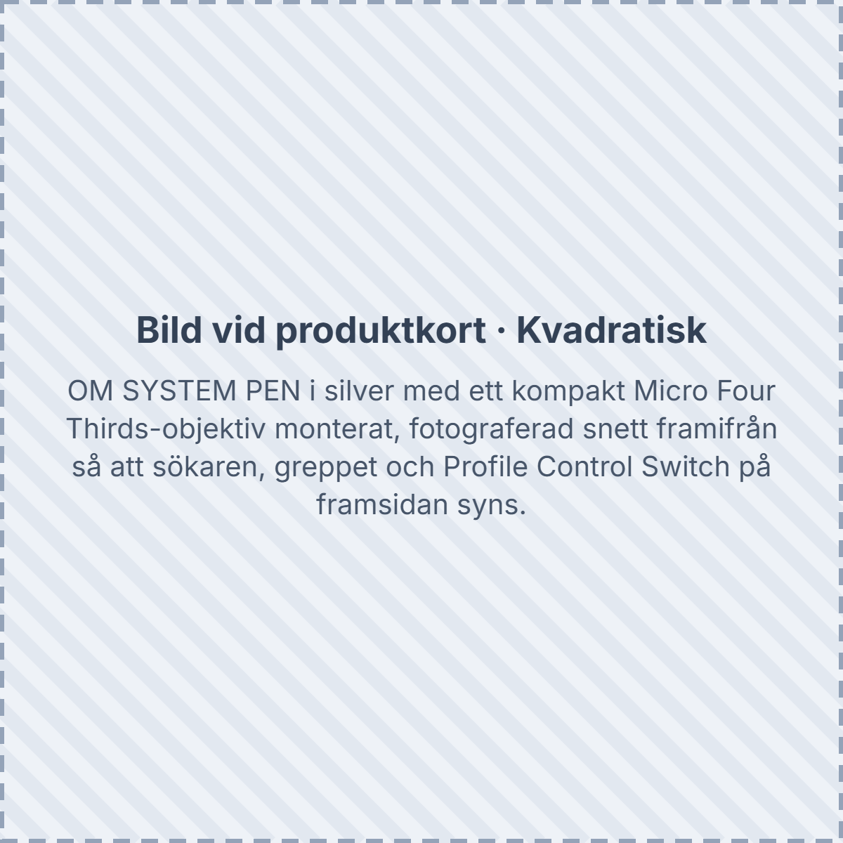 platshallare-sektion-6-kvadrat.png