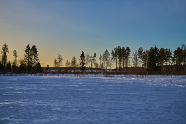 Sigma 50mm f1.4 DN_21w.jpg