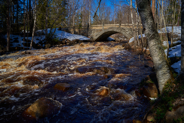 Sony 24mm f2.8_9w.jpg