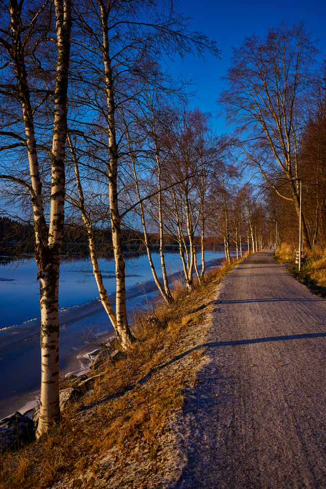 Nikon Z 28mm f2.8_28w.jpg