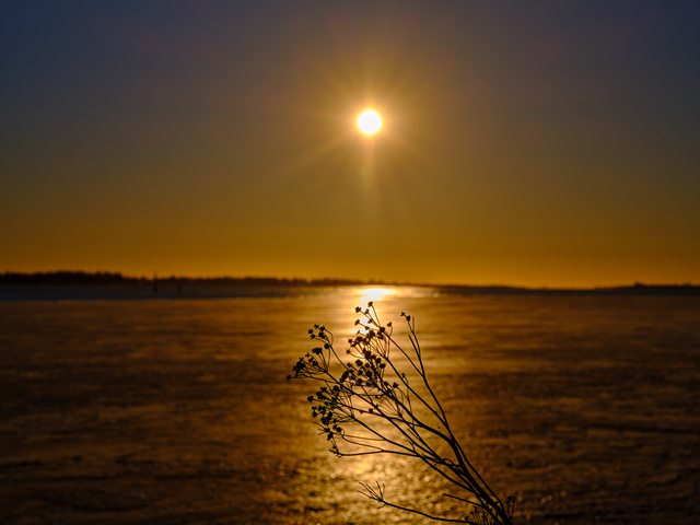 Fujifilm GF 80 f1,7_18w.jpg