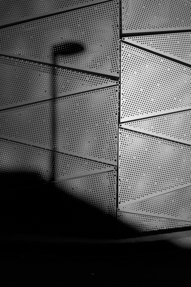 Sigma 24mm f1.4 DN_23w.jpg