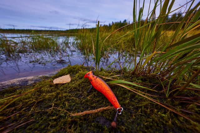 Canon RF 14-35 f4_1w.jpg