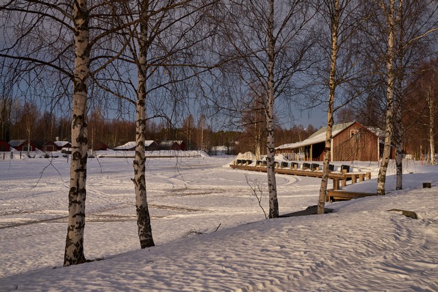 Sigma 50mm f1.4 DN_28w.jpg