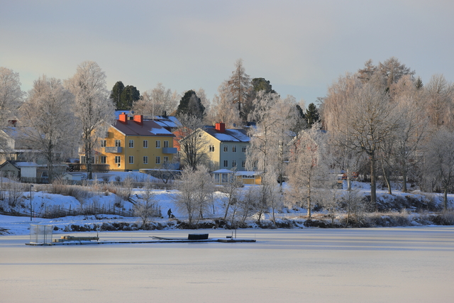 canon eos 1dx mark III_10w.jpg