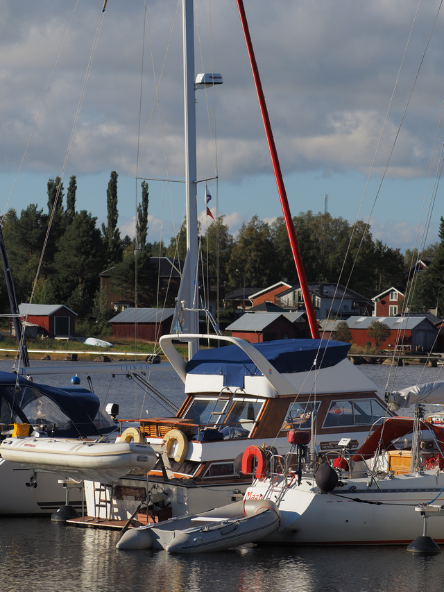 Olympus E-M10 IV_2w.jpg