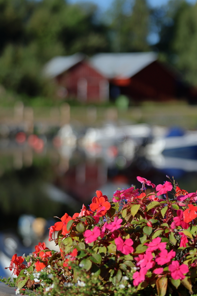 Canon EOS R10_16w.jpg