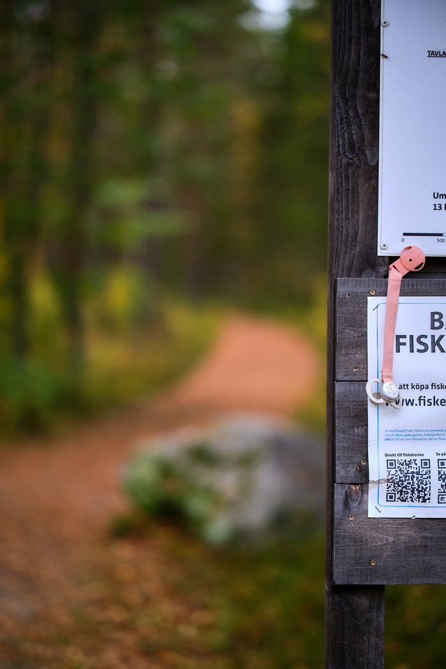 Fujifilm XF 56mm f1.2 WR_16w.jpg