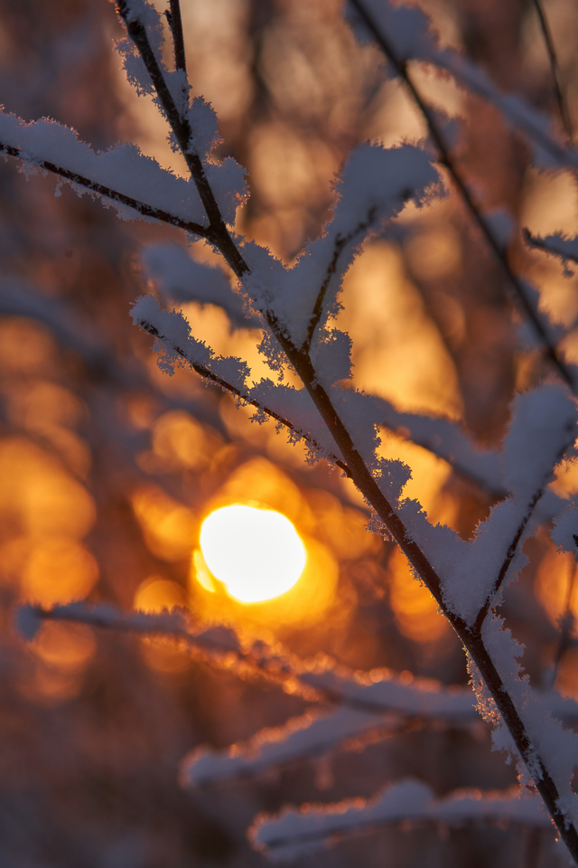 Sigma 60-600mm DN_5w.jpg