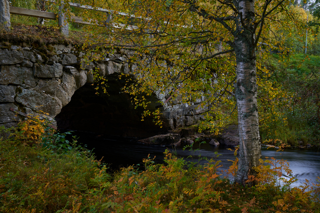 Samyang 35mm f1.8_7w.jpg