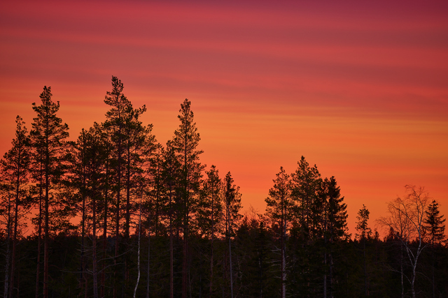 Nikon Z 100_400mm_10w.jpg