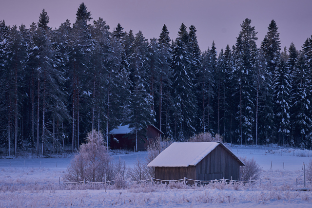 Sigma 100-400mm_21w.jpg