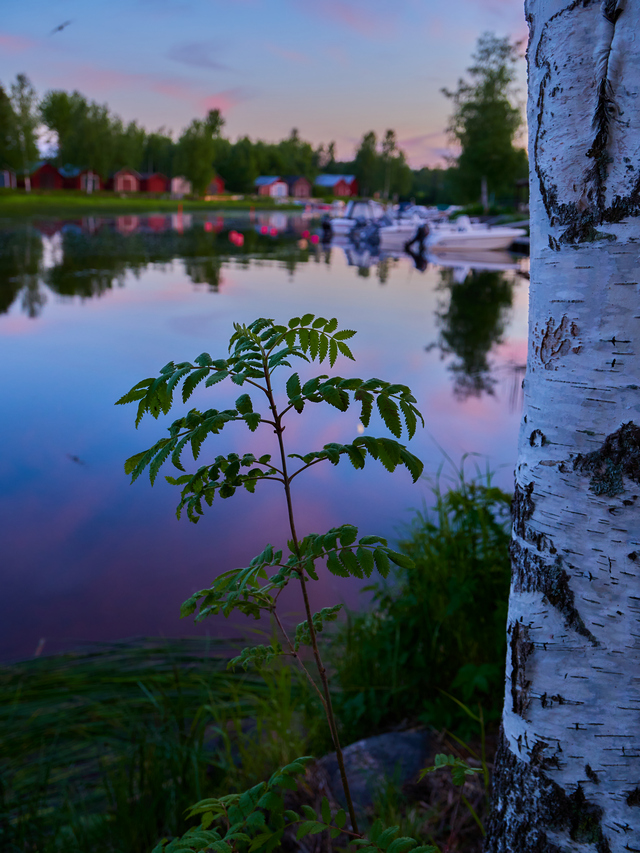 Olympus 8-25mm f4_12w.jpg