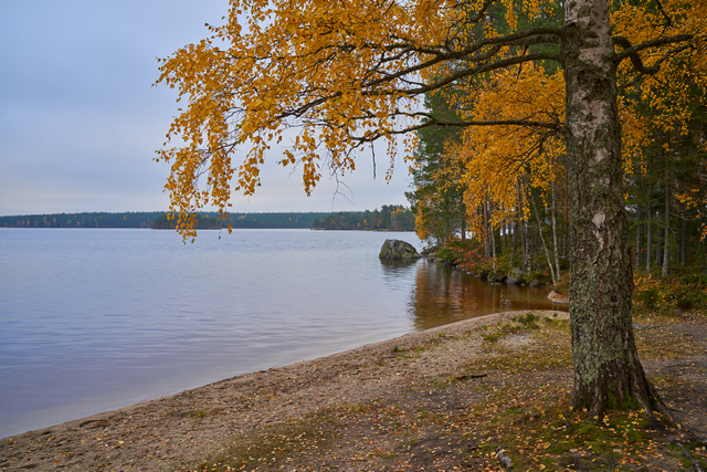 Laowa 35mm f0.95_11w.jpg