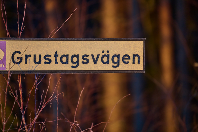 Nikon Z 100_400mm_17w.jpg