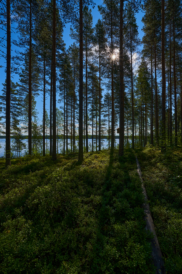 Sony 11mm f1.8_19w.jpg