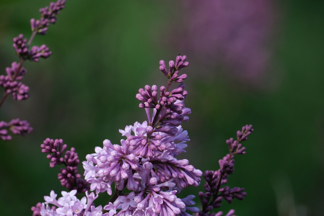 Fujifilm X-H2s_18w.jpg