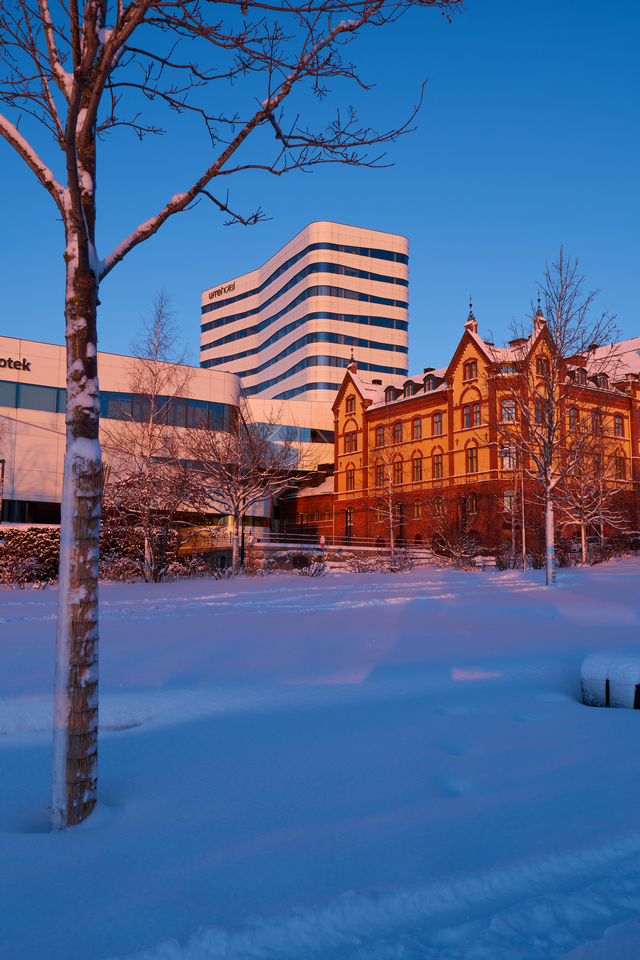 Pentax K3 III_6w.jpg