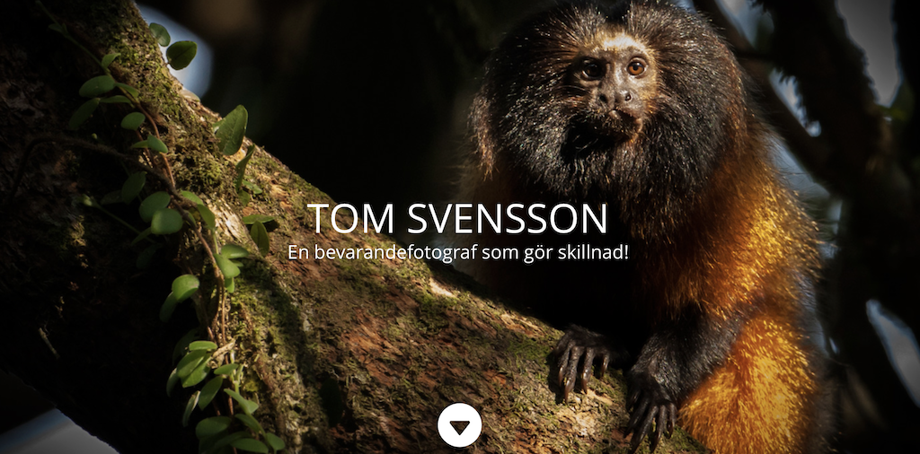 Skärmavbild 2021-05-10 kl. 15.55.04.png