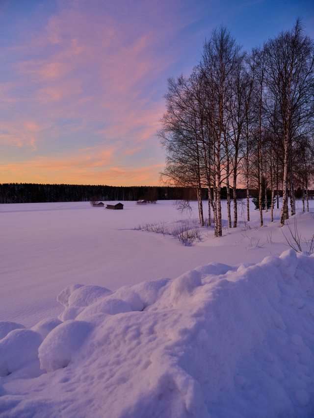 Fujifilm GFX100s_4w.jpg