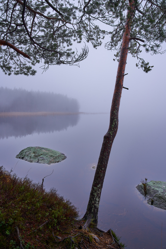 Tamron 28-75mm G2 So_23w.jpg