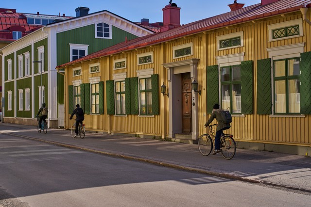 Sigma 50mm f2_24w.jpg