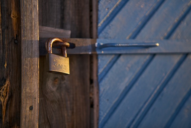 Sigma 50mm f1.4 DN_17w.jpg