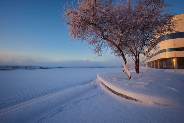 Canon RF 15-30_12w.jpg