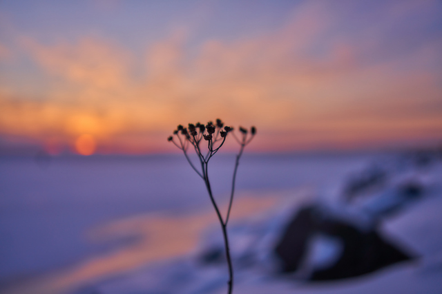 Sigma 35mm f2_2w.jpg