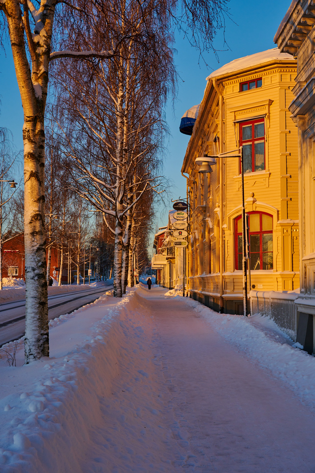 Nikon Z 18-140mm_25w.jpg