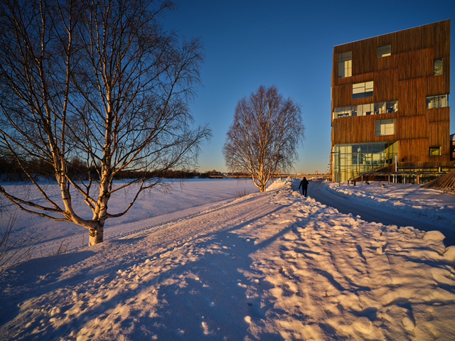 Laowa 19mm f2.8_7w.jpg