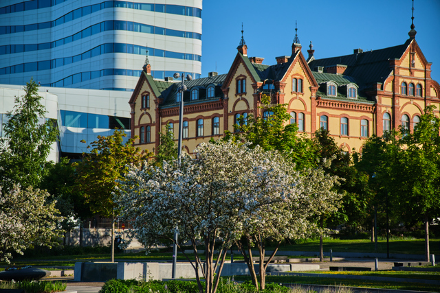 Tamron 17-70 f2.8 XF_9w.jpg