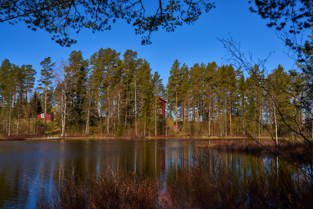 Sony FE 35 f1.4 GM_1w.jpg