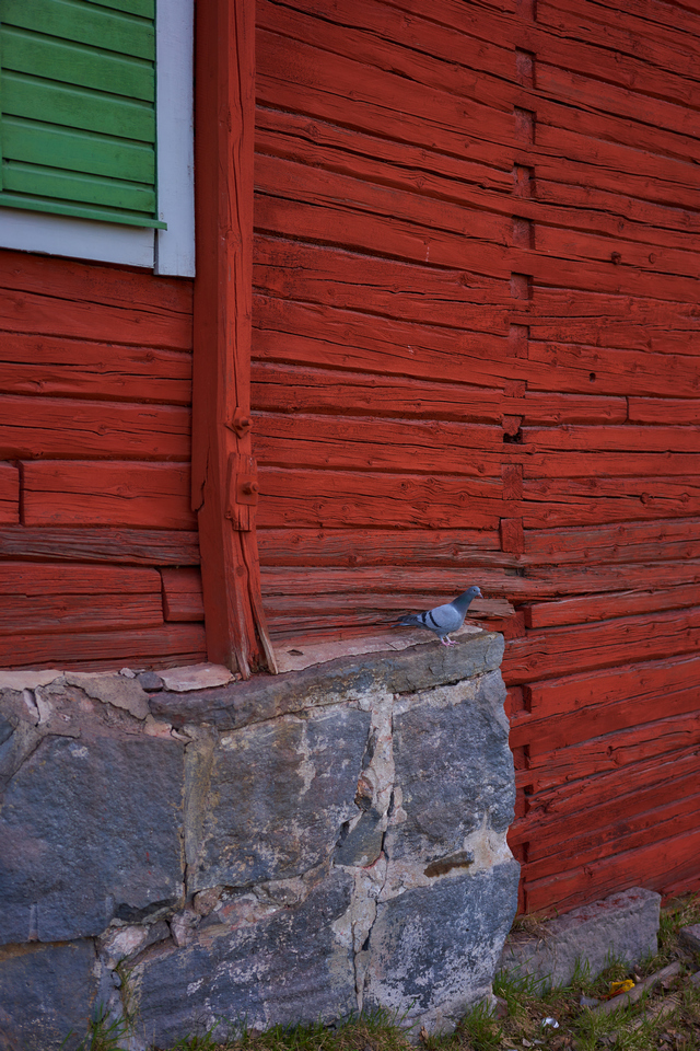 Sony 50mm f2.5_12w.jpg