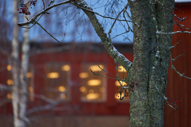 Sony E 70-350G OSS_6w.jpg