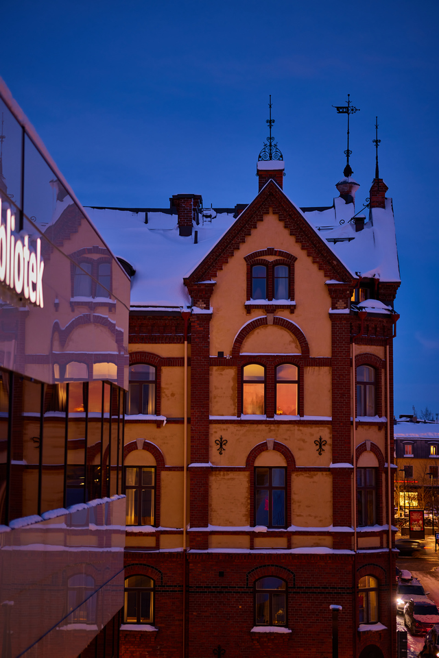 Canon RF 85 macro_14w.jpg