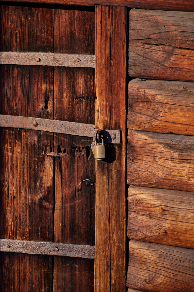 Canon RF 100-400mm_4w.jpg