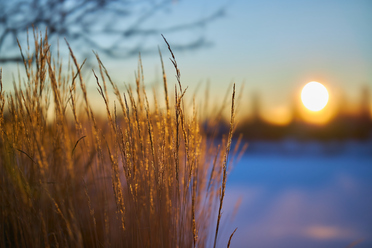 Canon RF 85_1,2 L USM DS_2.jpg