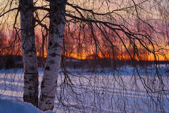 Samyang V-AF 75mm f1.8_15w.jpg