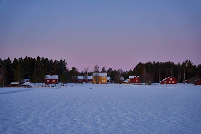 sigma 24-70 art sony_5w.jpg