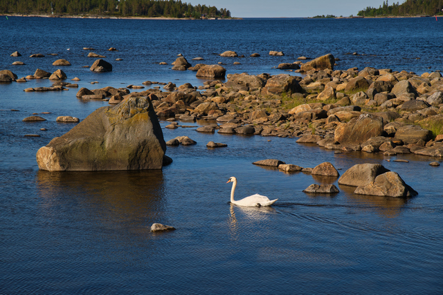 Tamron 17-70 f2.8 XF_15w.jpg