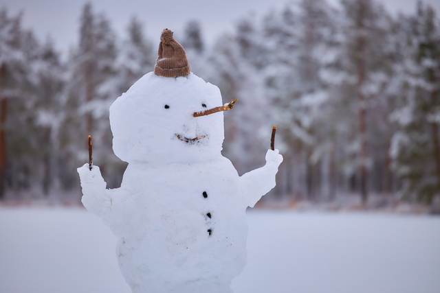 Canon RF_70200_f28_19w.jpg