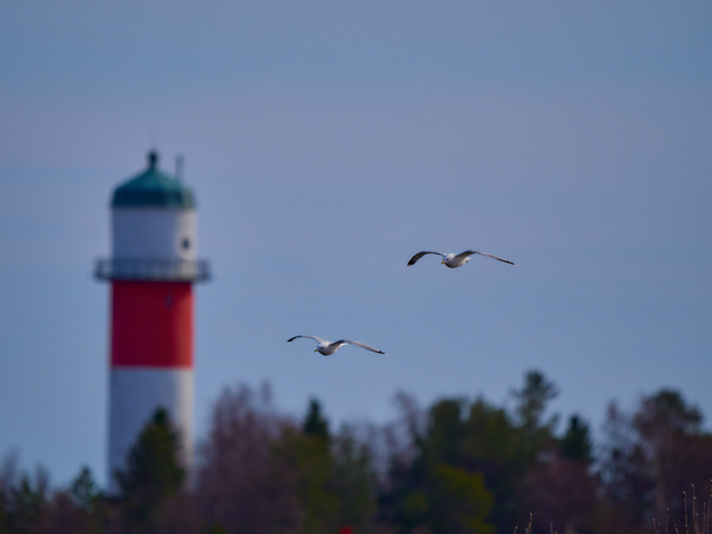 Olympus 150-400mm_6w.jpg