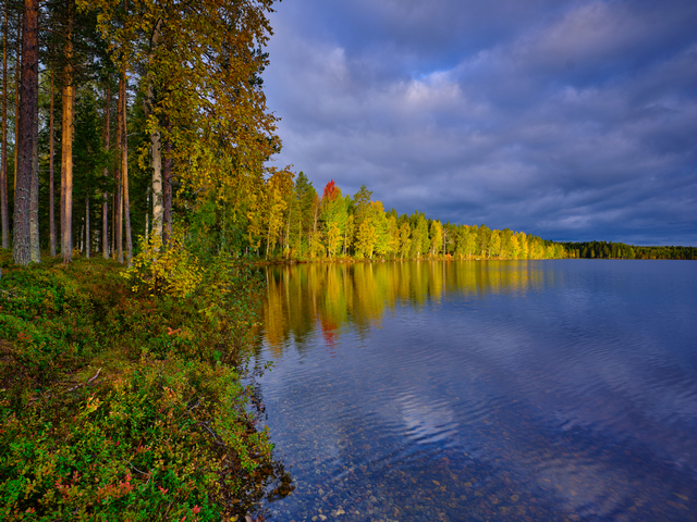 Fujifilm GFX 50s II_24w.jpg