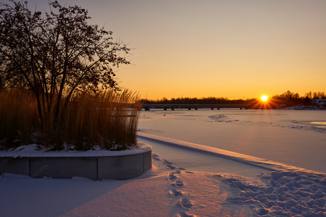 tamron 35 2.8 sony e_19w.jpg