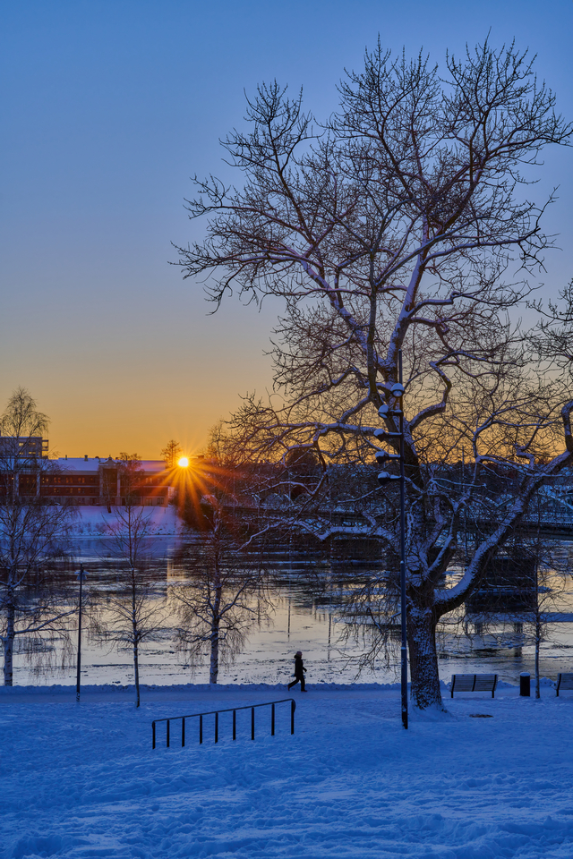 Nikon Z 50 f1.2_9w.jpg